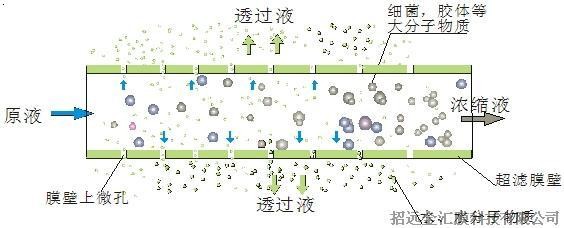 金匯超濾膜技術簡介-過濾原理
